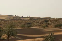 Ahmedabad to Jaisalmer Road Trip via Udaipur & Jodhpur