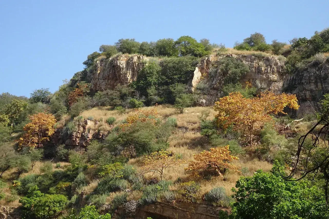 Scenic view of the Aravalli hills on the Udaipur to Kumbhalgarh road trip in Rajasthan.