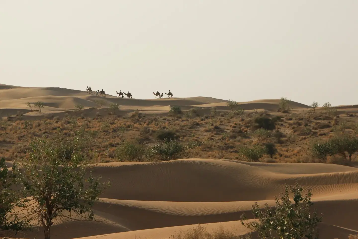 Ahmedabad to Jaisalmer Road Trip via Udaipur & Jodhpur