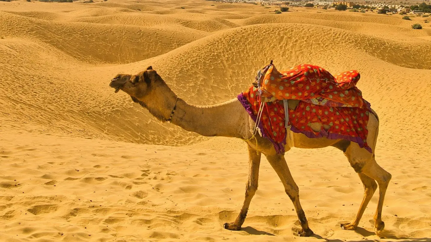 Driving from Jaisalmer to Sam Sand Dunes by road.